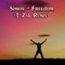 Freedom (T-Zak Remix) - Simox lyrics