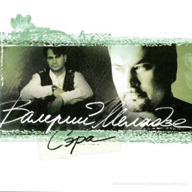 Не тревожь мне душу, скрипка Valeriy Meladze