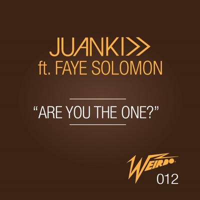 Are You the One? (feat. Faye Solomon) - Single