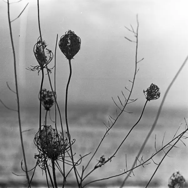 Pass Up — Recondite