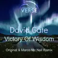 Victory Of Wisdom
