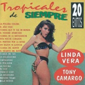 La Engañadora artwork