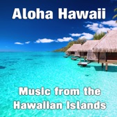 Aloha Hawaii artwork
