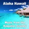 Aloha Hawaii artwork
