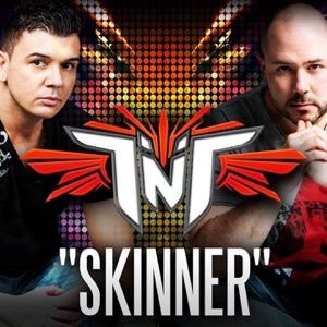 Skinner - Single