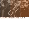 BALKAN BRASS BAND Barba-Giannis Balkan Brass Bands, Vol. 1
