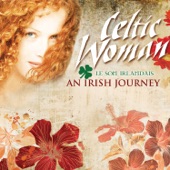 An Irish Journey artwork