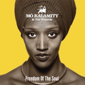 Mo'Kalamity and the Wizards - Cima vento