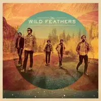 Hard Times — The Wild Feathers