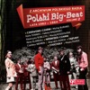 Z Archiwum Polskiego Radia: Polski Big Beat, Lata 1962 - 1964 Volume 2, 2015