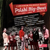 Z Archiwum Polskiego Radia: Polski Big Beat, Lata 1962 - 1964 Volume 2 artwork