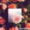 Lynn Era artwork