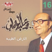 El Salam El Gomhory artwork