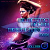 Electro House Essentials 2014 Vol.6