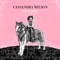 Blackbird - Cassandra Wilson lyrics