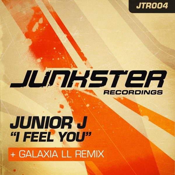 I Feel You - Single