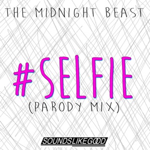 #Selfie (Parody) - Single