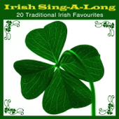 Irish Sing-A-Long (20 Traditional Irish Favourites)