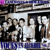 Voces en Alcohol, Vol.5 artwork