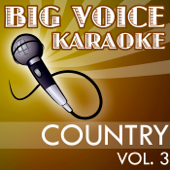 American Pie (Full Length Version) [In the Style of Don Mclean] [Karaoke Version]