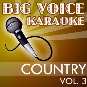 Karaoke Country Hits - Backing Tracks for Singers, Vol. 3