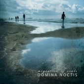 Migration of Souls - Domina Noctis