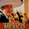 Las Mejores Voces de México. Rancheras y Corridos Mexicanos, 2013
