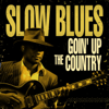 Slow Blues Goin' Up the Country - Various Artists