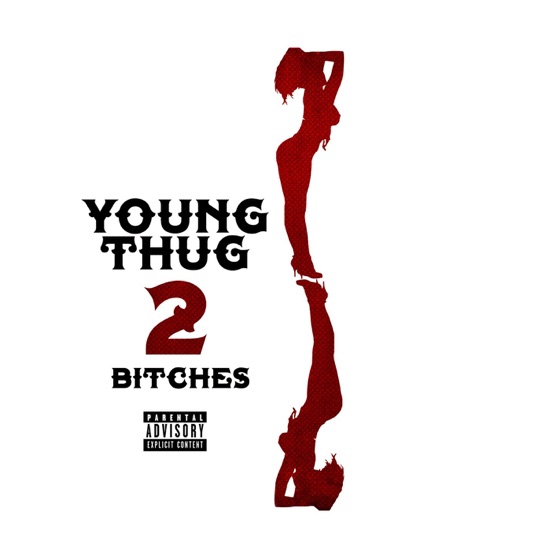 Cover artwork for 2 Bitches