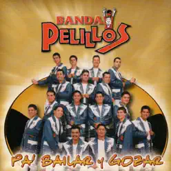 Pa Bailar y Gozar - Banda Pelillos