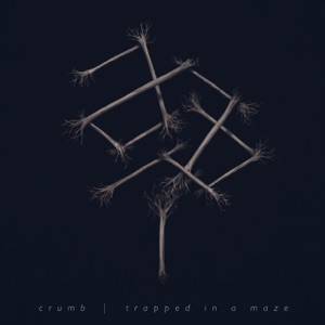 Trapped In a Maze