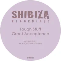 Great Acceptance (Moe Turk & Fat Cat Slim Remix) (Moe Turk & Fat Cat Slim Remix) (Moe Turk & Fat Cat Slim Remix) — Tough Stuff
