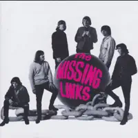 You're Drivin' Me Insane — The Missing Links