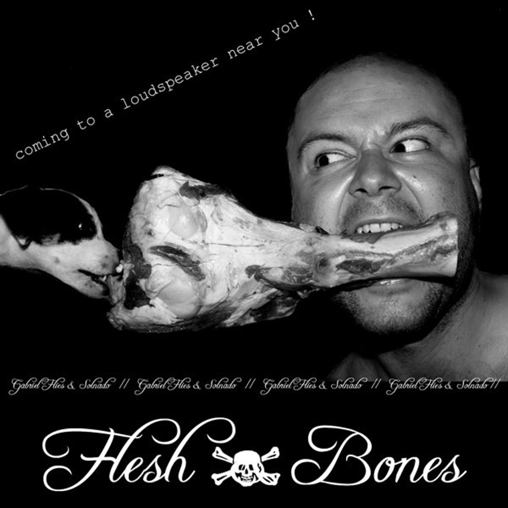 Обложка альбома «Flesh & Bones - Single (feat. Mikkel Solnado) - Single» — Gabriel Flies