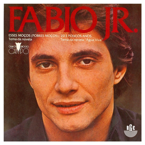 Cover artwork for 20 e Poucos Anos