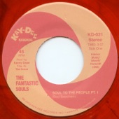 Soul to the People (Pt.1) artwork