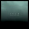 Fields - Single
