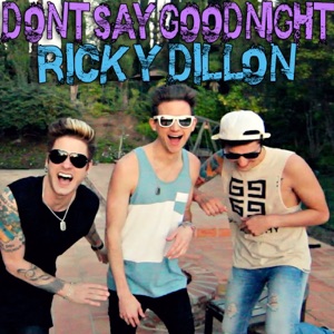 Don't Say Goodnight - Single