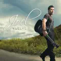 Vuelve