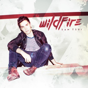 Wildfire - Single