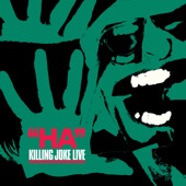 Killing Joke - Birds of a Feather