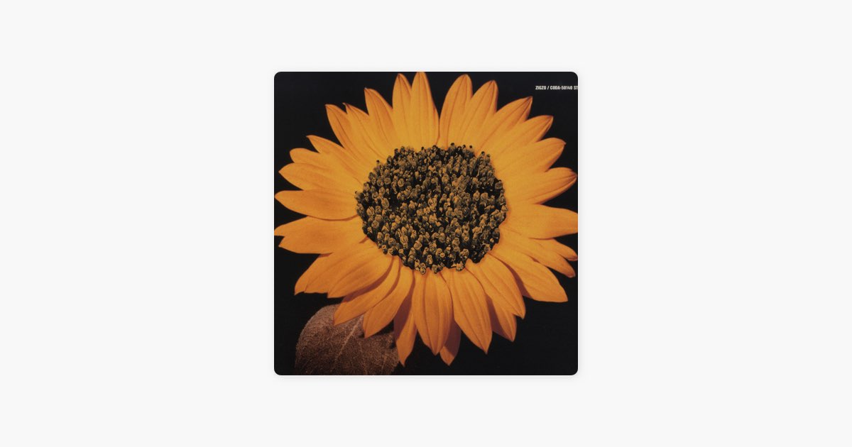 ひまわり - Single - ZIGZOのアルバム - Apple Music