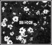 Deulgukhwa - Don’t You Worry