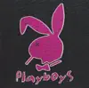 Sivil Politi