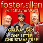 Galway Girl / One Little Christmas Tree (with Shayne Ward) - Single