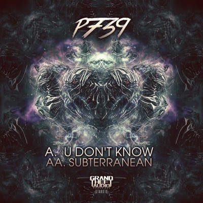 U Don't Know // Subterranean - Single