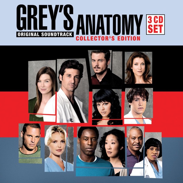 Grey's Anatomy (Original Soundtrack) [Box Set] - Multi-interprètes