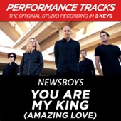 You Are My King (Amazing Love) [Performance Tracks] - EP artwork