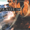 Praise 16 - The Power of Your Love - Maranatha! Music