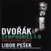Libor Pesek & Moscow Chamber Orchestra - Symphony No. 6 in D Major, Op. 60, B. 112: I. Allegro non tanto
